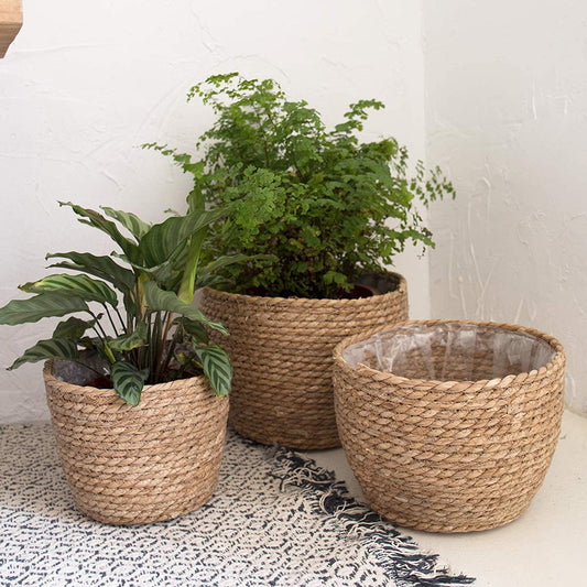 Plastic Lined Woven Plant Pot/Basket