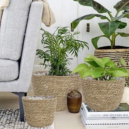 Plastic Lined Woven Plant Pot/Basket